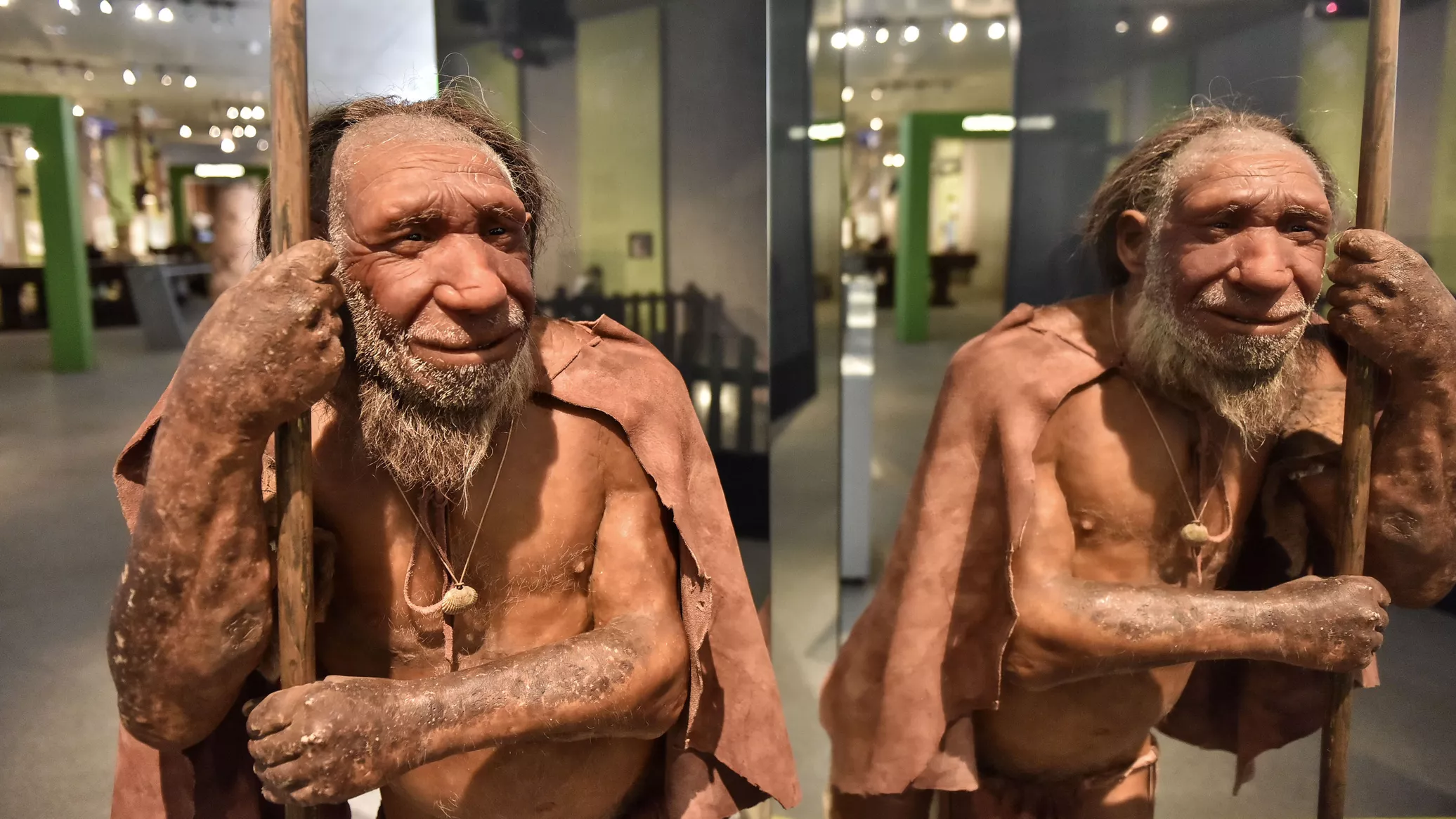 Desenterram na China ferramentas de madeira de 300 mil anos usadas para cavar (FOTOS) 1