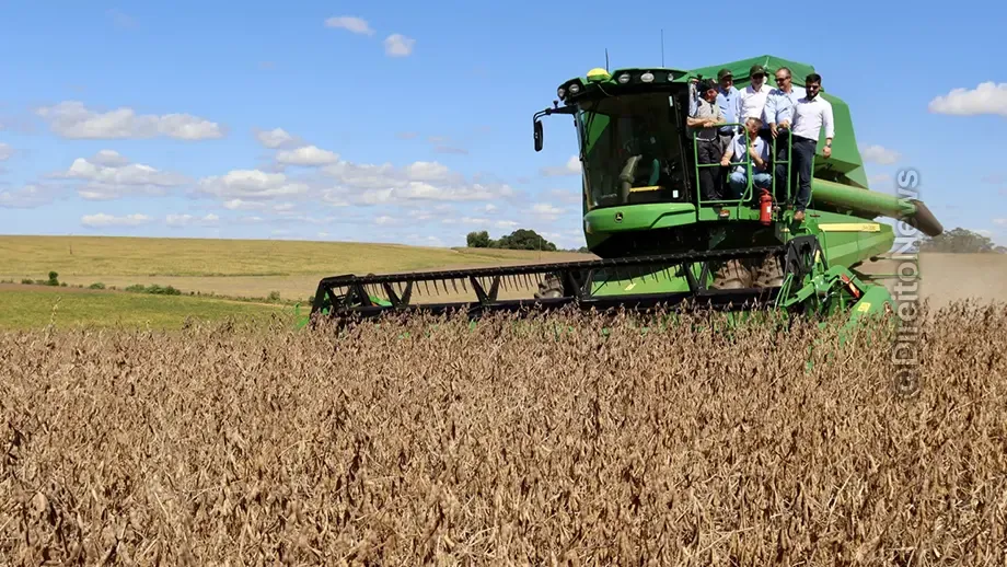 gigante agro entra recuperacao judicial acumular 58 milhoes dividas