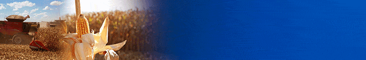 docampoacidade_728x120-15