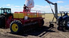 Semeadura do arroz representa mais de 50% da intenção em todo o Estado 2