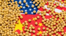 Soja intensifica ganhos em Chicago nesta 2ª com China x EUA e preços testam os US$ 11 por bushel 4