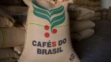 Cecafé aguarda resultados concretos para a isenção das tarifas sobre o café brasileiro 2