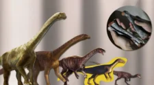 Pesquisadores brasileiros descobrem pegadas de dinossauros na Amazônia 3