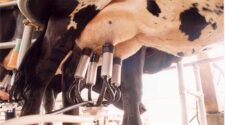 Faesc e Conseleite cobram ações do governo para frear crise na cadeia produtiva do leite 4