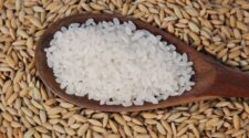 Contra o tempo: Mercado do arroz pode chegar em um cenário de déficit na balança comercial 2