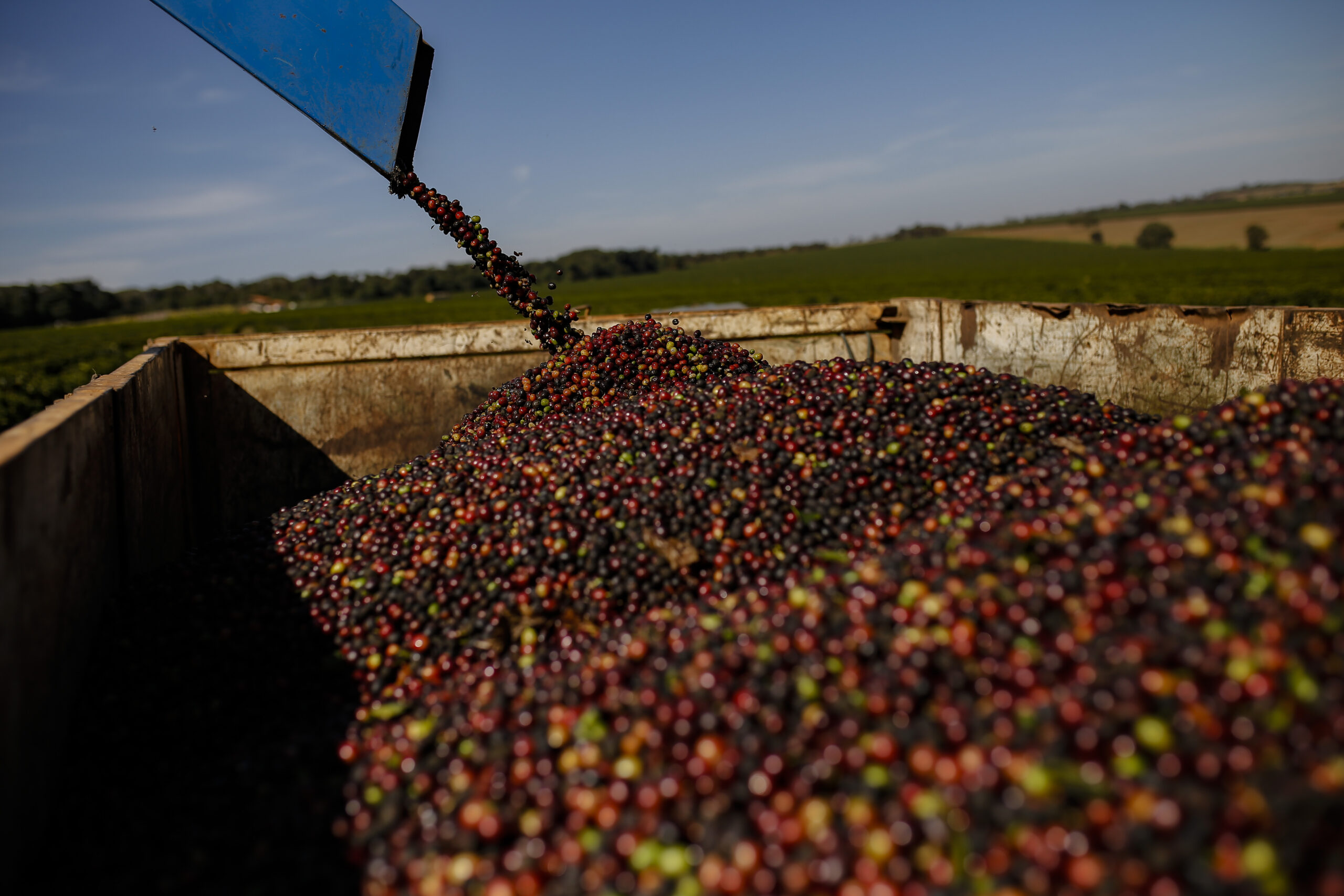 Tecon Santos 10: usuários de carga cobram celeridade e leilão aberto e irrestrito 4