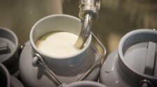 Produtores pedem sobretaxa sobre leite da Argentina e Uruguai 1