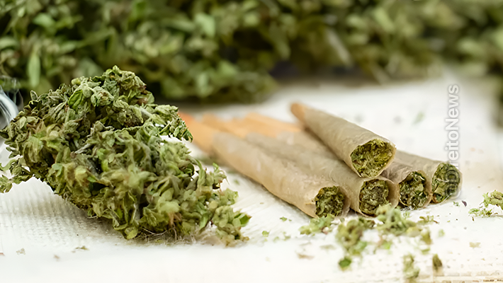 juiza aplica novo entendimento stf liberta homem preso 26g maconha acusado delivery drogas