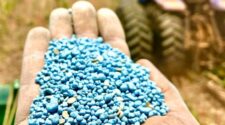 Brasil deve importar volume recorde de fertilizantes em 2025 1