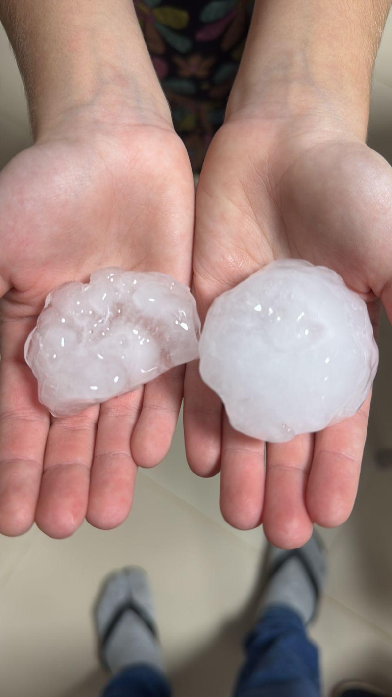 1000573426-pzqk7 1000573426