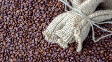 Café inicia novembro em alta com arábica a 396,90 cents/lbp e robusta a US$ 4.550/t 2
