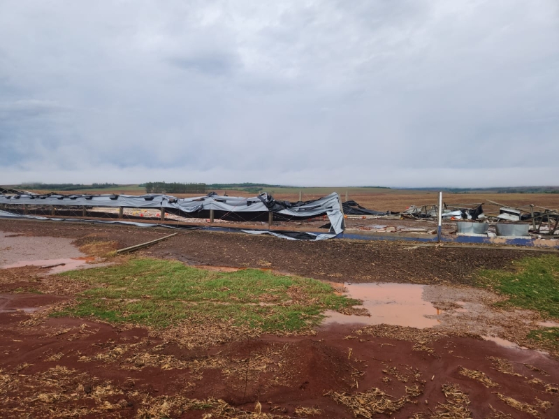 Imagem do WhatsApp de 2025-11-03 à(s) 13.31.45_98225e58