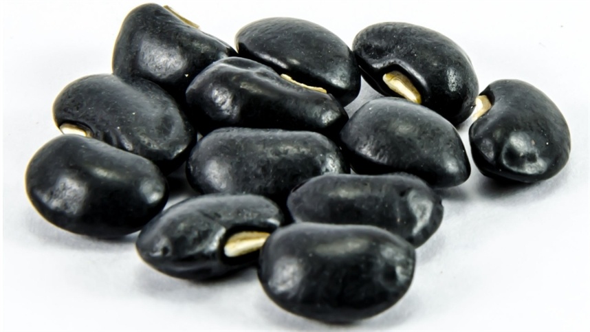 Preços registram movimentos distintos dentre as regiões 2