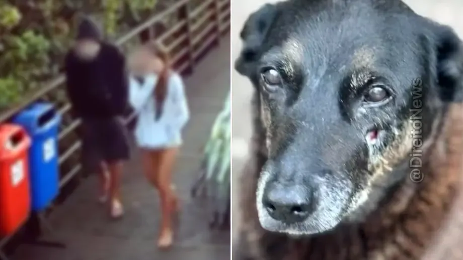 caso orelha adolescente nao podera internado entenda lei eca