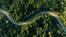 Estudo revela papel do agronegócio na expansão das florestas brasileiras 2