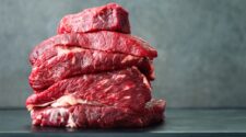 Boi/Cepea: Exportações de carne bovina atingem recorde 1