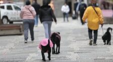 Sem tirar o casaco: São Paulo terá semana fria, nublada e com chuva; veja a previsão 1